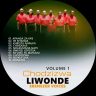 Liwonde Ebenezer Voices - Chozizwa Volume 1