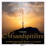 Avokado - Msandipitilire Ft Dr Ethel Kamwendo Banda & Temwa